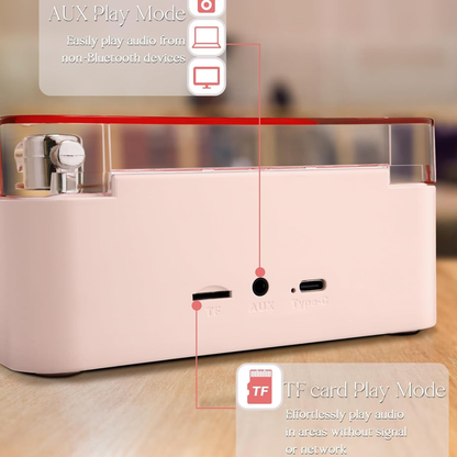 Vinyl Player Bluetooth Speaker